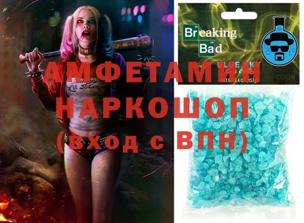 гашик Алексин