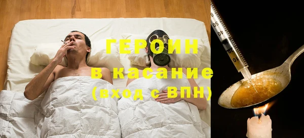гашик Алексин