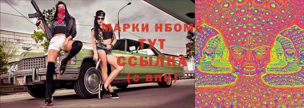 гашик Алексин