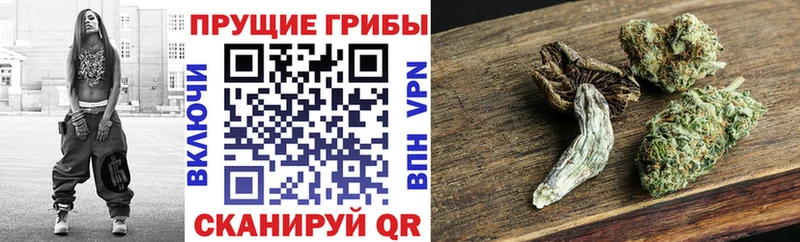 Галлюциногенные грибы мухоморы  мега ТОР  Прохладный 