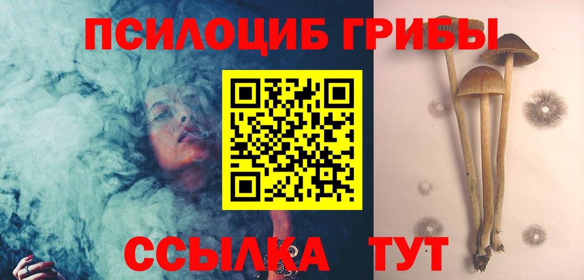 Прохладный  Галлюциногенные грибы Psilocybine cubensis  Вход с VPN 